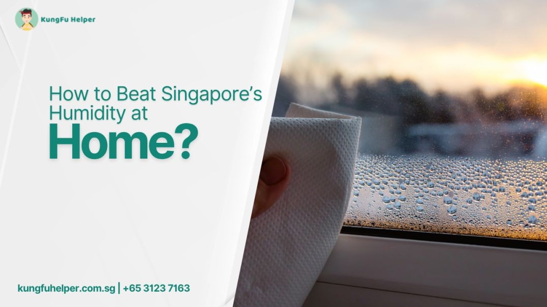 How_to_Beat_Singapores_Humidity_at_Home?
